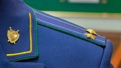 Прокуратура взыскала с хозяина собаки, покусавшей пенсионерку, 123 тысячи рублей в Холмском районе