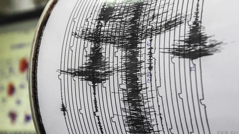 Жители Кунашира почувствовали подземный толчок