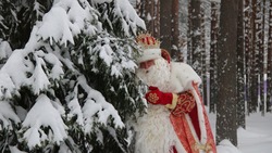 ПАЗЛЫ: Сможете собрать Дедов Морозов?