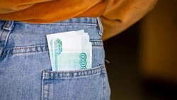 Женщина украла деньги у родственника ради покупки платья в Углегорском районе