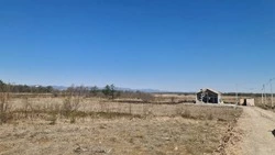 Пригородную остановку для поездов у «Олимпии парка» могут создать в Анивском районе