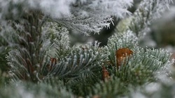 Морозы до −36 градусов и снег придут в Сахалинскую область 24 января