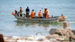 Лососевая путина в Сахалинской области идет вяло, объем едва перевалил за 12 процентов от прогноза