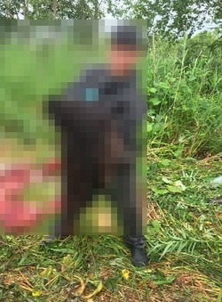 Медведя жестоко убили и разрубили на части на юге Сахалина — соцсети (18+)