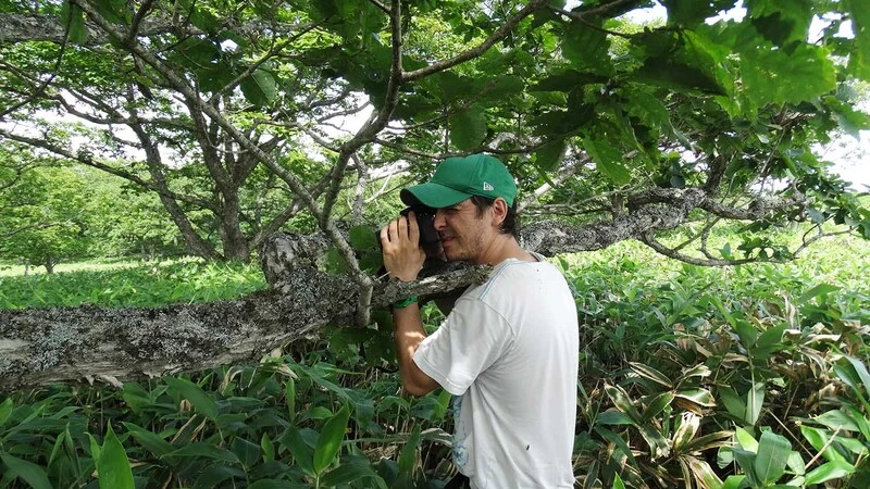 На Кунашире обнаружен редкий вид лишайника