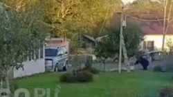 Медведей заметили у дома мэра Южно-Сахалинска 