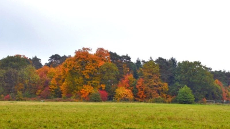 Церковный праздник 9 ноября 2024: что нельзя делать в этот день, приметы