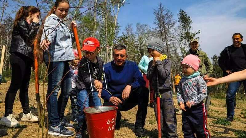 Валерий Лимаренко посадил свой первый сахалинский кедр