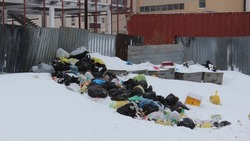 В Южно-Сахалинске освободили от снега 147 контейнерных площадок