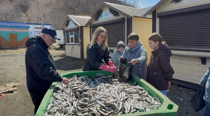 Жителям Углегорска и Шахтерска бесплатно раздали 4 тонны мойвы