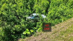 Toyota Mark II спрятался в кустах возле дороги в Долинском районе