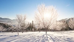 Морозное утро и ясный день ждут жителей Южно-Сахалинска 9 февраля 
