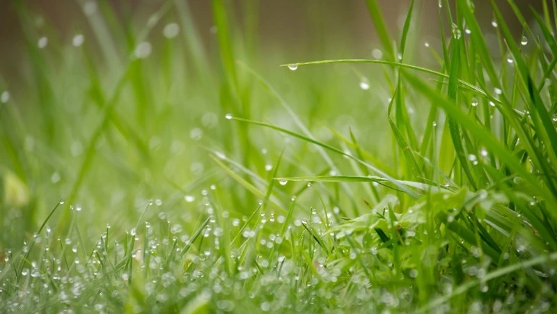 Церковный праздник 19 июля 2024: что нельзя делать в этот день, приметы