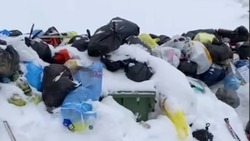 Управляющая компания несколько дней не вывозит мусор из двора в Долинске