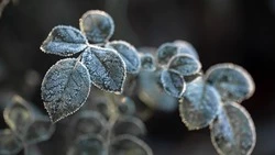 Приметы обо всем на 22 октября 2023 года: что можно и нельзя делать в этот день