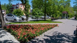 Жители Сахалина и Курил до 31 мая выберут объекты для благоустройства в 2024 году