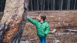 Школьники из Поронайска победили на фестивале лесничества «ЛЕСахалина»