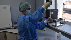 В гречишном меде на Дальнем Востоке нашли антибиотики