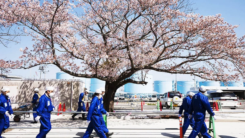10 лет трагедии в Фукусиме. Панику на Сахалине и Курилах смогли остановить за две недели