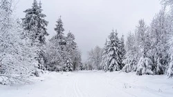 Снежная западня и драка на детской площадке: новости выходных в Сахалинской области