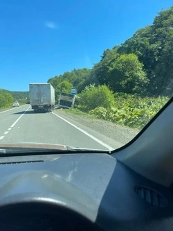 Плохое самочувствие заставило водителя автобуса съехать в кювет на юге Сахалина