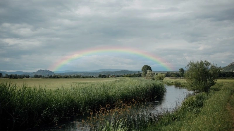 Тепло до +23 градусов разбавят дожди в Сахалинской области 11 июня