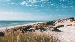 На пляже в Холмске организуют патрулирование после выезда автохама к морю 