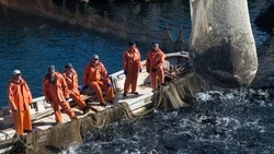 Губернатор поддержит рыбаков Сахалинской области в вопросе инвестиционных квот