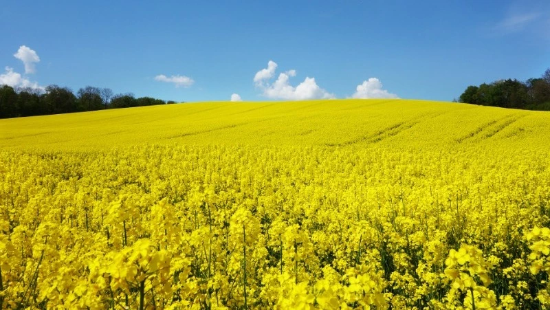 Россияне объединяются под давлением Запада, уверен сахалинский поисковик