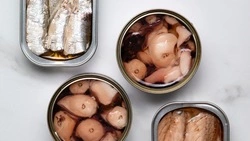 Бизнесмен получил штраф за поставку сельди вместо сайры в госучреждения Сахалина