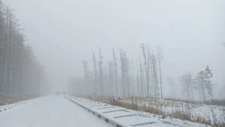 Метель и сильный гололед ожидают на Сахалине 11 ноября