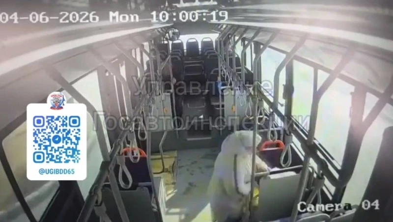 Сахалинку отбросило на ступени в салоне автобуса из-за резкого торможения