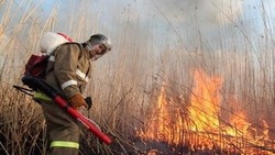 Сухая трава загорелась в Анивском районе 30 мая