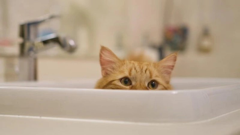 Несколько улиц Южно-Сахалинска оставили без горячей воды 9 сентября