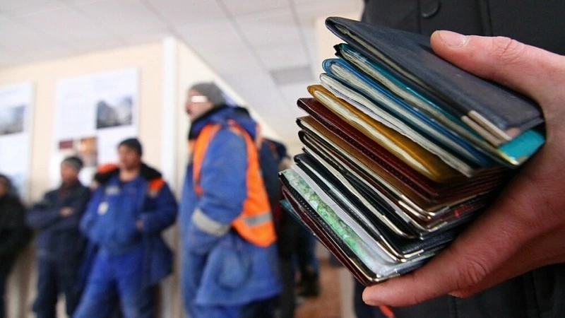 Сахалинские приставы потратят 2,5 миллиона на доставку гастарбайтеров-нелегалов домой