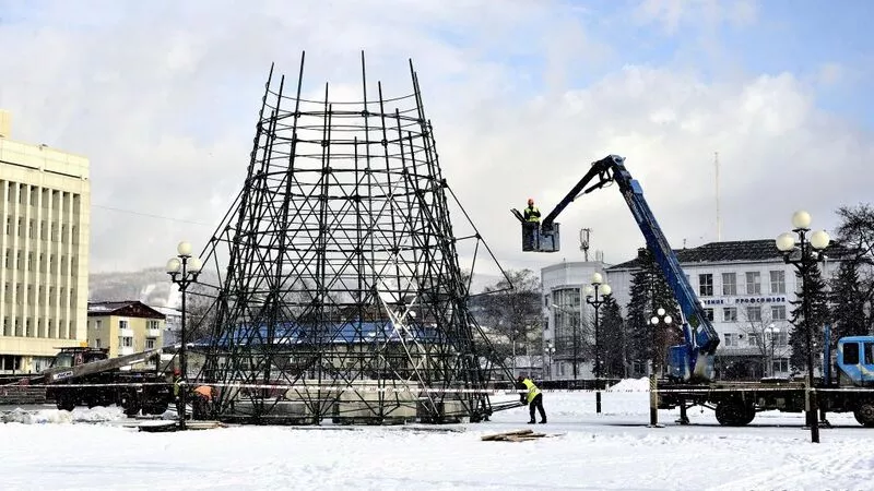 В Южно-Сахалинске начали «выращивать» губернаторскую елку