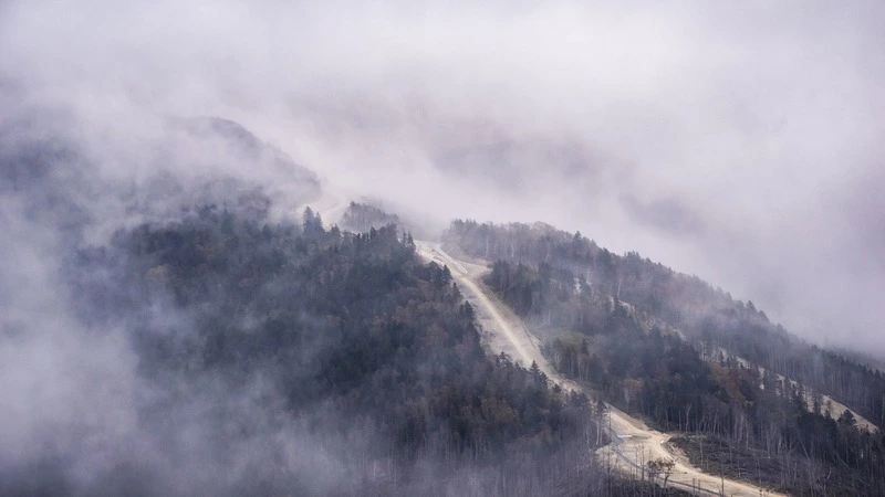 Telegram’мы Сахалина. Призрачный мост, гастроли Ивашова, газовая интрига