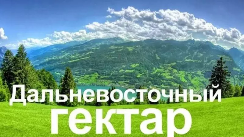 В программе «дв-гектар» открыли 54 млн гектаров земель лесного фонда