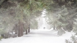 Снег с дождем и сильный ветер придут на выходных в Сахалинскую область