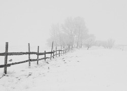 Циклон настигнет Сахалин: названы точные даты снегопада в регионе