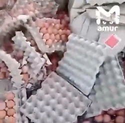 Тысячи куриных яиц оказались посреди трассы в Амурской области