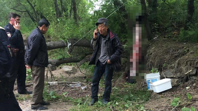 Женщина сняла на видео, как два иностранца освежевали собаку в пригороде Южно-Сахалинска