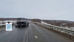 Годовалый ребенок пострадал в аварии на трассе Южно-Сахалинск — Оха