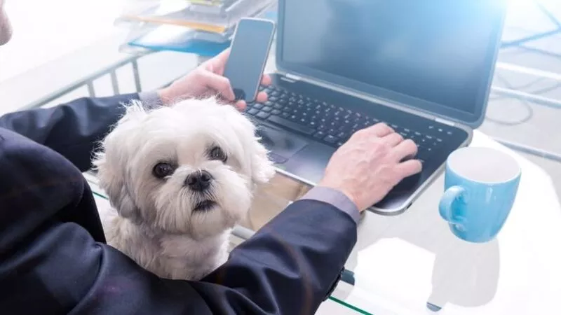 Tele2 начислит гигабайты тем, кто сидит дома