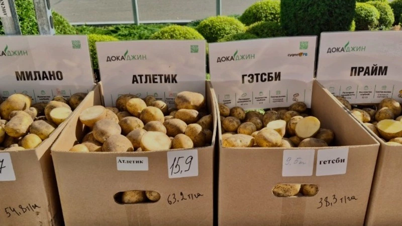 Что посеешь