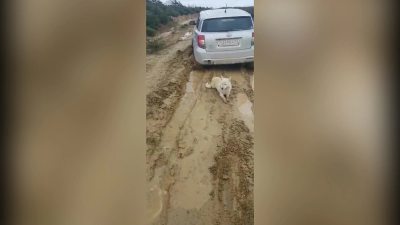 Дорога в экс-столице Сахалина превратилась в болото. ВИДЕО
