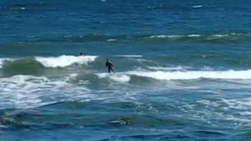 «Всю рыбу распугали»: очевидцы засняли тренировку серферов на побережье Охотского