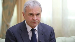 В Америке и Европе такого нет: бизнесмен похвалил систему цифровых пропусков на Сахалин