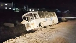 Шестеро в больнице: автобус с рабочими съехал в кювет в Ногликском районе