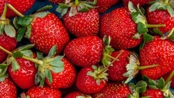 Как легко и быстро помыть клубнику перед едой: пошаговая инструкция